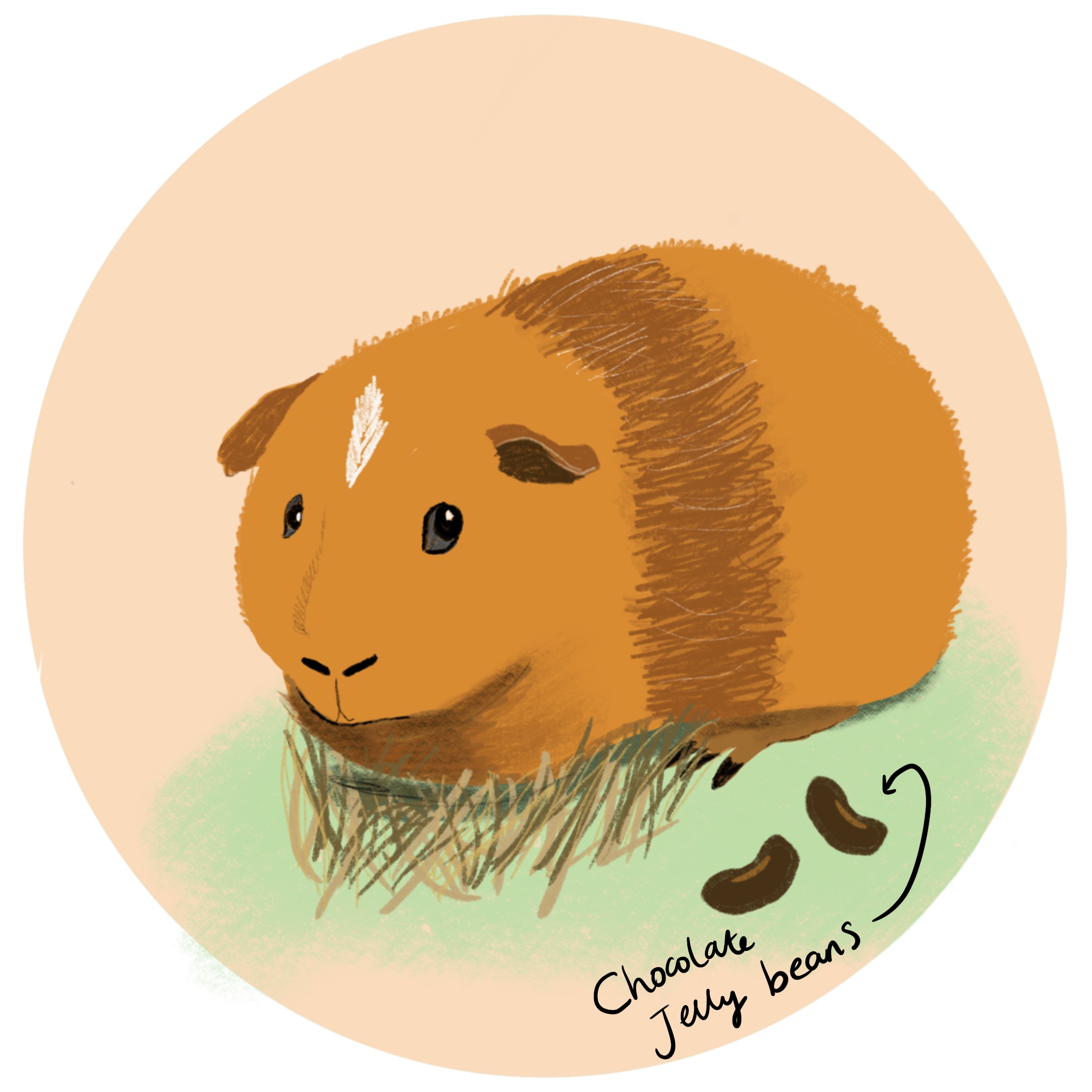 C58FB811-5B27-4279-B196-FF2989BC8791